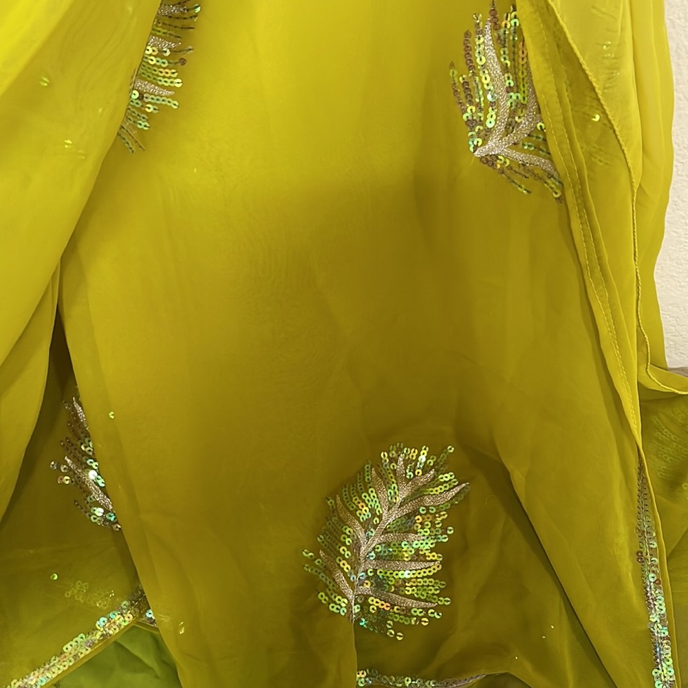 Beautiful saree - Picture 3 of 5